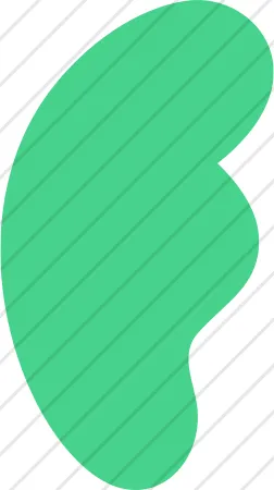 Shape 22