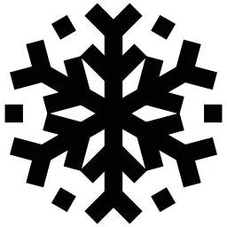 Winter Cold Icon