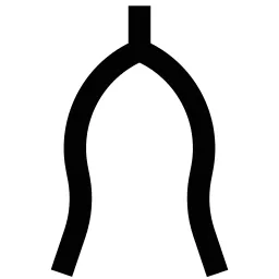 Wish Bone Icon