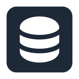 Data Box Solid Icon