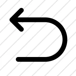 Step Back Undo Icon