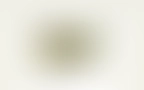 Sana Changelog 03