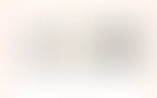 Blog 12