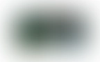 Shoop Blog 01