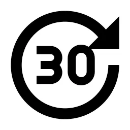 Forward 30 Fill Icon