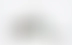 Haus Filter 06