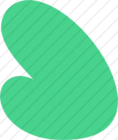 Shape 25