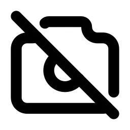 Camera Off Line Icon