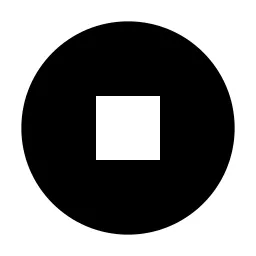 Stop Circle Fill Icon