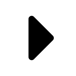 Caret Right Icon