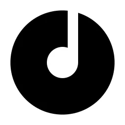 Disc Fill Icon