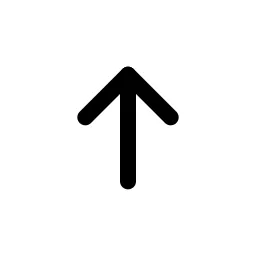 Arrow Up Duo Icon