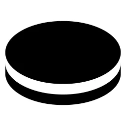Coin Fill Icon