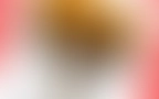 Blog 03
