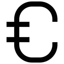 Euro Sign Icon