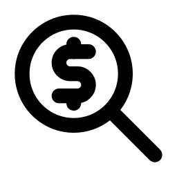 Zoom Money Line Icon