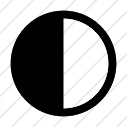 Circle Half Fill Contrast Icon