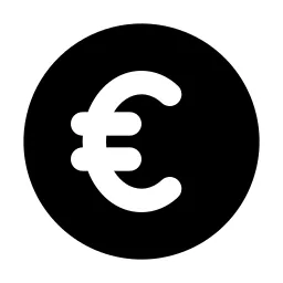 Coin Euro Icon