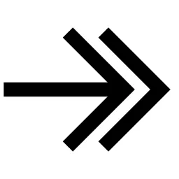 Double Arrow Right Icon