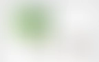 Bloomwell Blog 02
