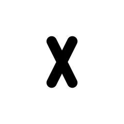 Letter X Small Line Icon