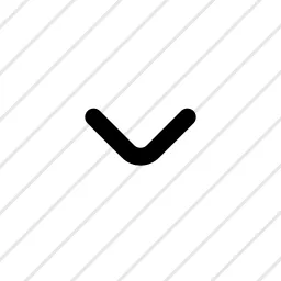 Chevron Down Small Icon