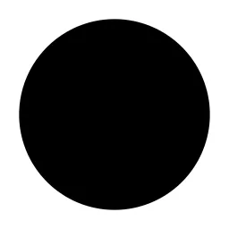 Circle Icon