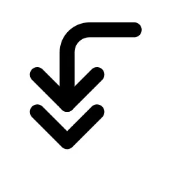 Corner Left Down Double Line Icon