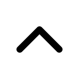 Chevron Up Icon