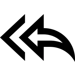 Reply All Line Icon