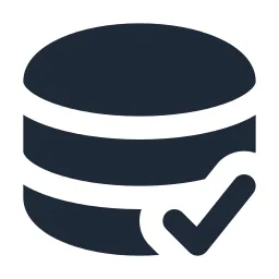 Data Check Solid Icon