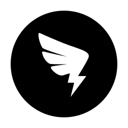 Dingding Fill Icon