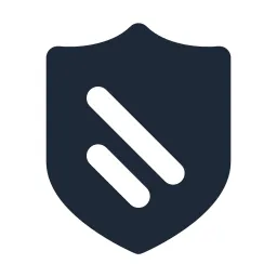Shield 2 Solid Icon