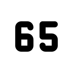 Number 65 Small Line Icon