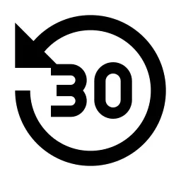 Replay 30 Fill Icon