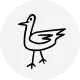 Collection logo
