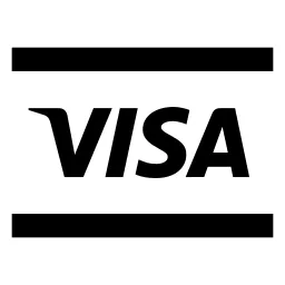 Visa Fill Icon