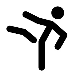 Karate Line Icon