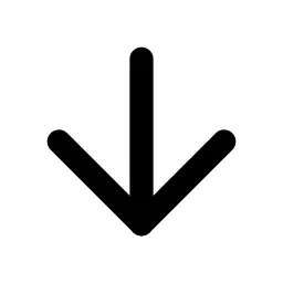 Arrow Down Icon