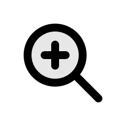 Zoom In Duo Icon