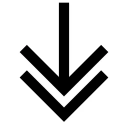Double Arrow Down Icon