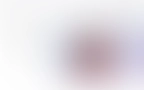 Shoop Header 01