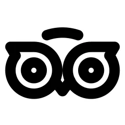 Brand Tripadvisor Line Icon