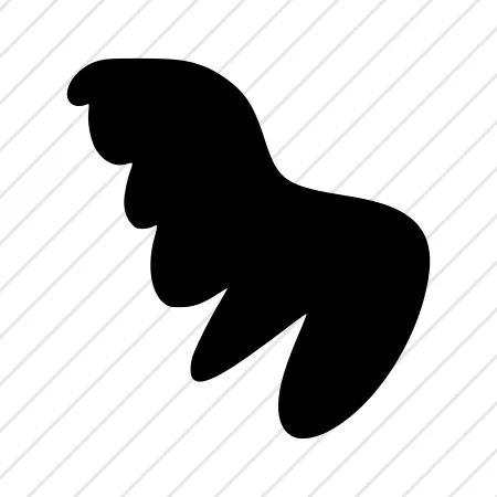 Shape 27