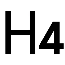 H 4 Icon