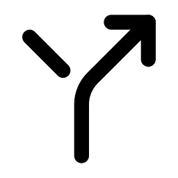 Arrow Bear Right 2 Line Icon