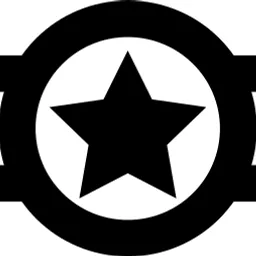 Star Award Belt Icon