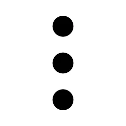 More Vertical Icon