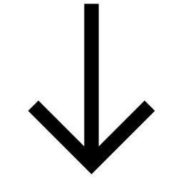 Arrow Down Icon