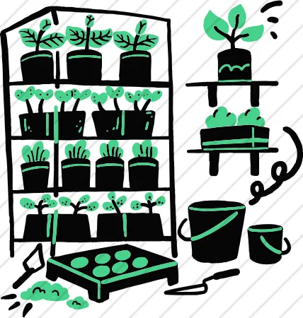 Propogating Plants
